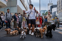 r/Tokyo Official Discord Server Banner