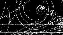 Particle 〇 Discord Server Banner