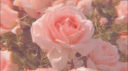 misty Discord Server Banner