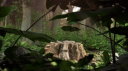 বটতলা - BOTTOLA [ Maintenance ] Discord Server Banner