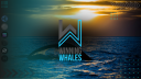 Winning Whales Trading Tank Discord Server Banner