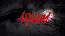 The Asylum Discord Server Banner