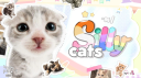 cat piss aka' /sillycats 🌈 Discord Server Banner