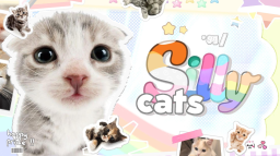 cat piss aka' /sillycats 🌈 Discord Server Banner