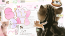 cat piss aka' /sillycats 🎀 Discord Server Banner