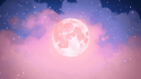 The Reverie 30+ Discord Server Banner