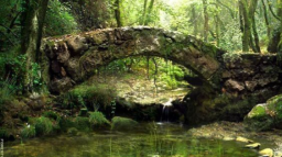 The Hollow Discord Server Banner