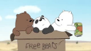 meowie Discord Server Banner