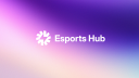 Esports Hub Discord Server Banner