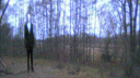 Creepypasta Discord Server Banner