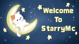 ⋆⁺₊ StarryMC ᯓ Discord Server Banner