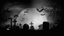 A𝖋𝖙𝖊𝖗 D𝖆𝖗k Discord Server Banner