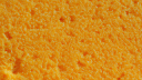 spongcord Discord Server Banner