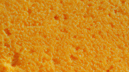 spongcord Discord Server Banner