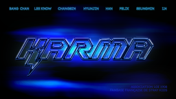 STRAY KIDS FRANCE 🦢 Discord Server Banner