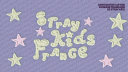 STRAY KIDS FRANCE 🪐 Discord Server Banner