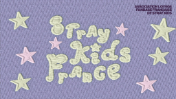 STRAY KIDS FRANCE 🪐 Discord Server Banner