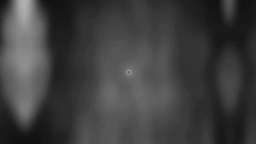 πππ πΎππππππππ Discord Server Banner