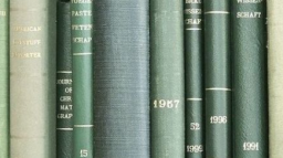 🌿₊ salvatore Discord Server Banner