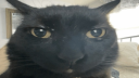 Jalloworld ๐ Discord Server Banner