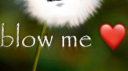 Tns4l Discord Server Banner