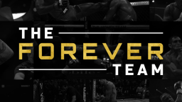 The Forever Team Discord Server Banner