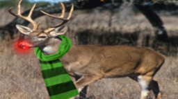 Skylandeer's Portal Masters Discord Server Banner