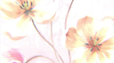 NANA 🪷 / nana tag #SPAIN Discord Server Banner