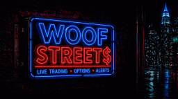 Woof Streets Discord Server Banner