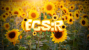 Economy Simulator Discord Server Banner