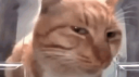 b3brov community Discord Server Banner