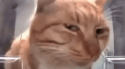 b3brov community Discord Server Banner