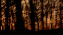 Chilldays Discord Server Banner