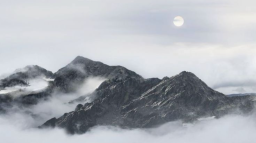 goated Discord Server Banner