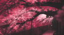 𝐃𝐞𝐯𝐢𝐥𝐓𝐞𝐚𝐦 Discord Server Banner