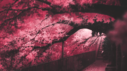 𝐃𝐞𝐯𝐢𝐥𝐓𝐞𝐚𝐦 Discord Server Banner