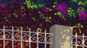 🎓 Discord Server Banner
