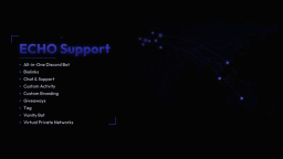 ECHO Support Discord Server Banner