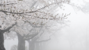 ℒ︵ ೀ Discord Server Banner