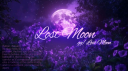 🌙. Lost Moon™ Discord Server Banner