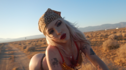 Chrissy Chlapecka Discord Server Banner