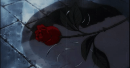 sevgili Discord Server Banner