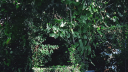 Isabel LaRosa Discord Server Banner