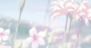 Eri Discord Server Banner
