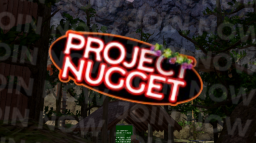 🚀Project Nugget Discord Server Banner