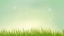 the grazing spot Discord Server Banner