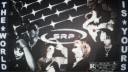 𝙎𝙀𝙍𝘼𝙋𝙃𝙄𝘾𝙎™ Discord Server Banner