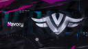 Team Vavory Discord Server Banner