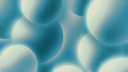 Paradise Community Discord Server Banner