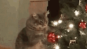 Detsky koutek Discord Server Banner